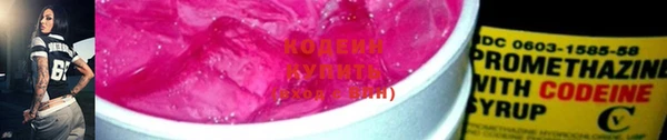 дживик Богородицк