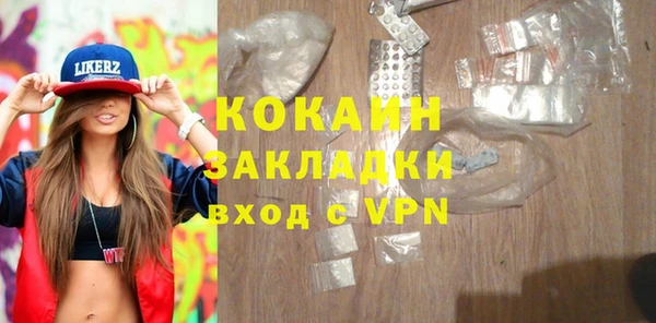 дживик Богородицк