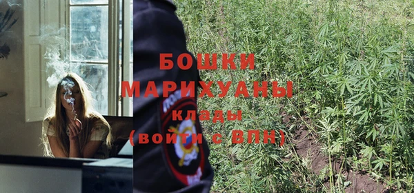 дживик Богородицк